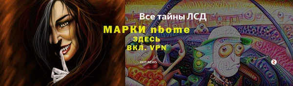 сатива Вязники